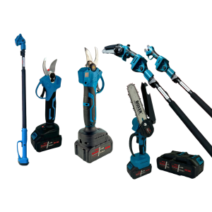 Kit sega e forbice a batteria con asta telescopica