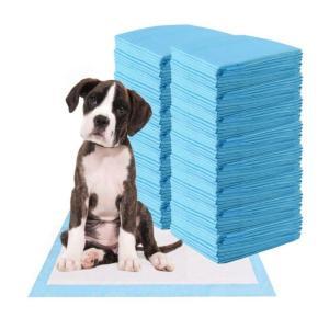 Traversine igieniche adesive assorbenti 60x60 cm 40 pezzi per animali