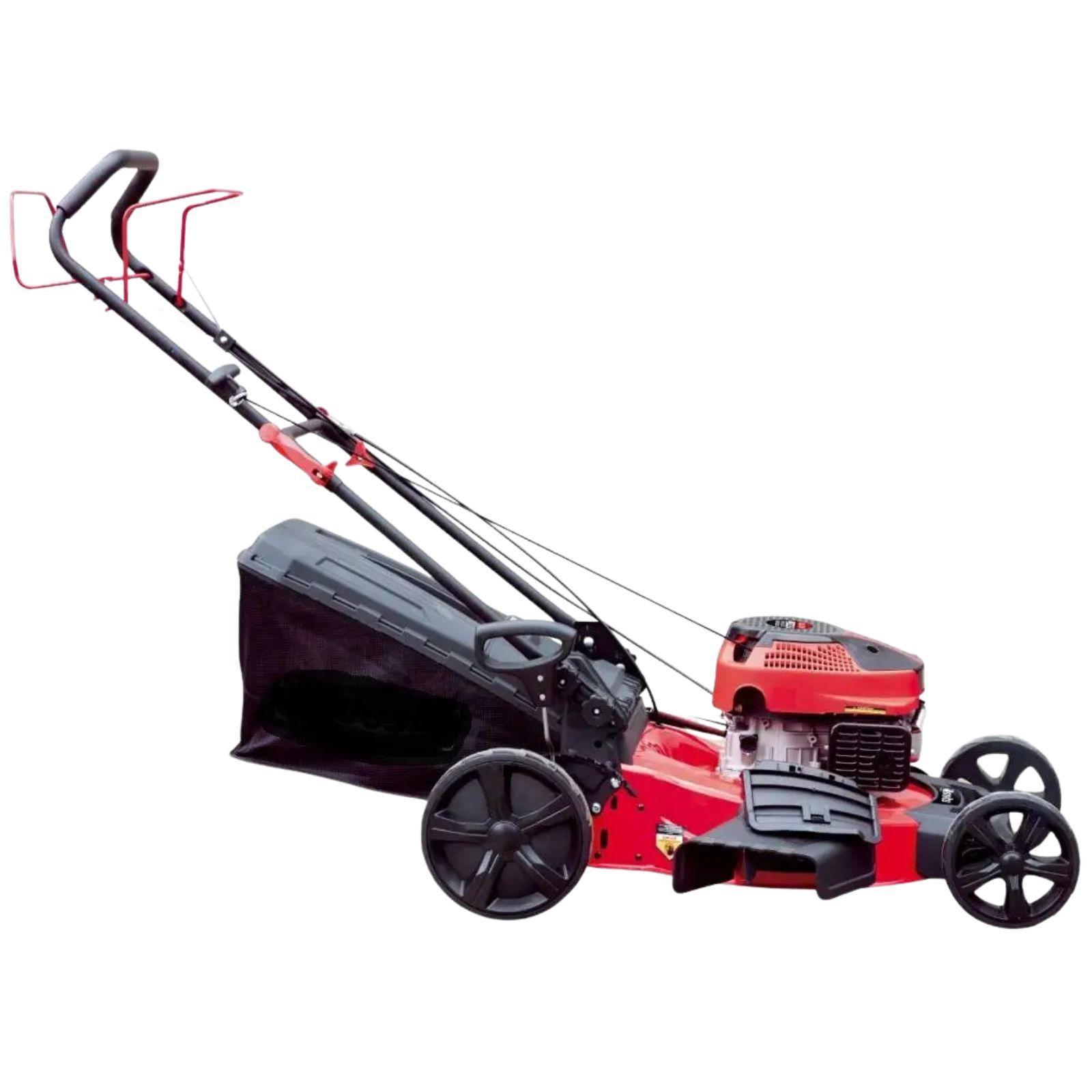 boxer tagliaerba a scoppio 3.6 kw - foto 2 boxer tagliaerba a scoppio 3.6 kw - foto 2