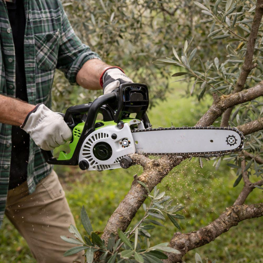  motosega a scoppio 25.4cc con barra 12” / 30 cm e accessori inclusi - foto 3