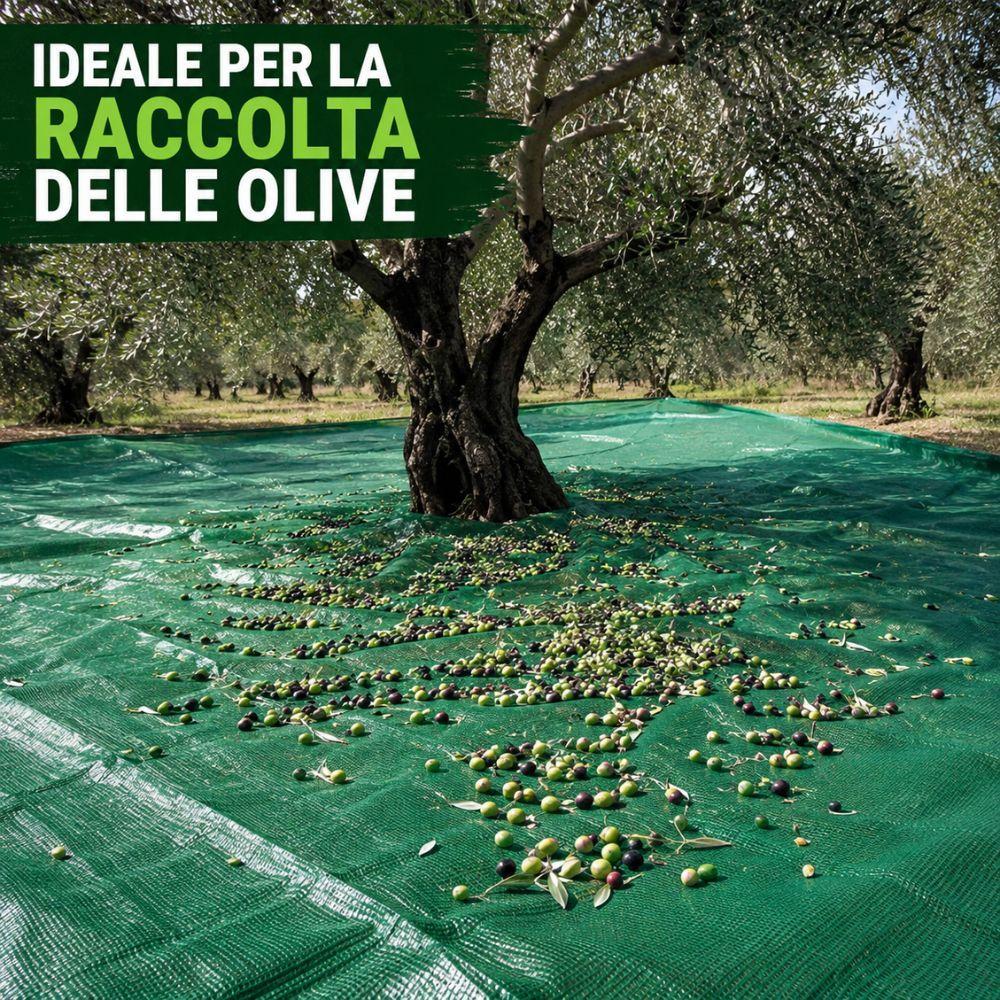 Telo antispina verde per raccolta olive, rete resistente in diverse misure