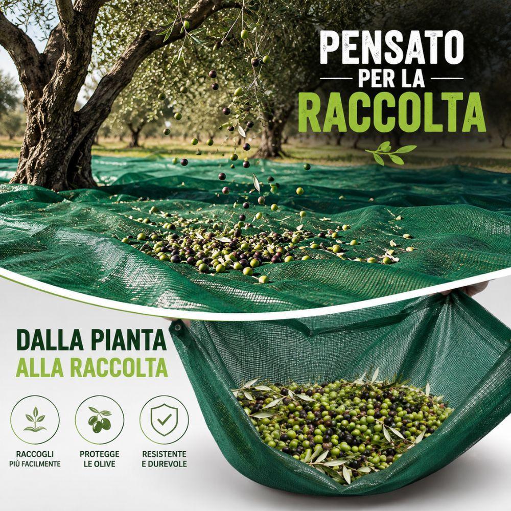 Rete verde per la raccolta delle olive con trama resistente alle sollecitazioni