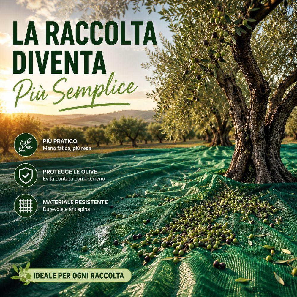 Telo in rete verde per la raccolta delle olive, resistente e disponibile in tre misure