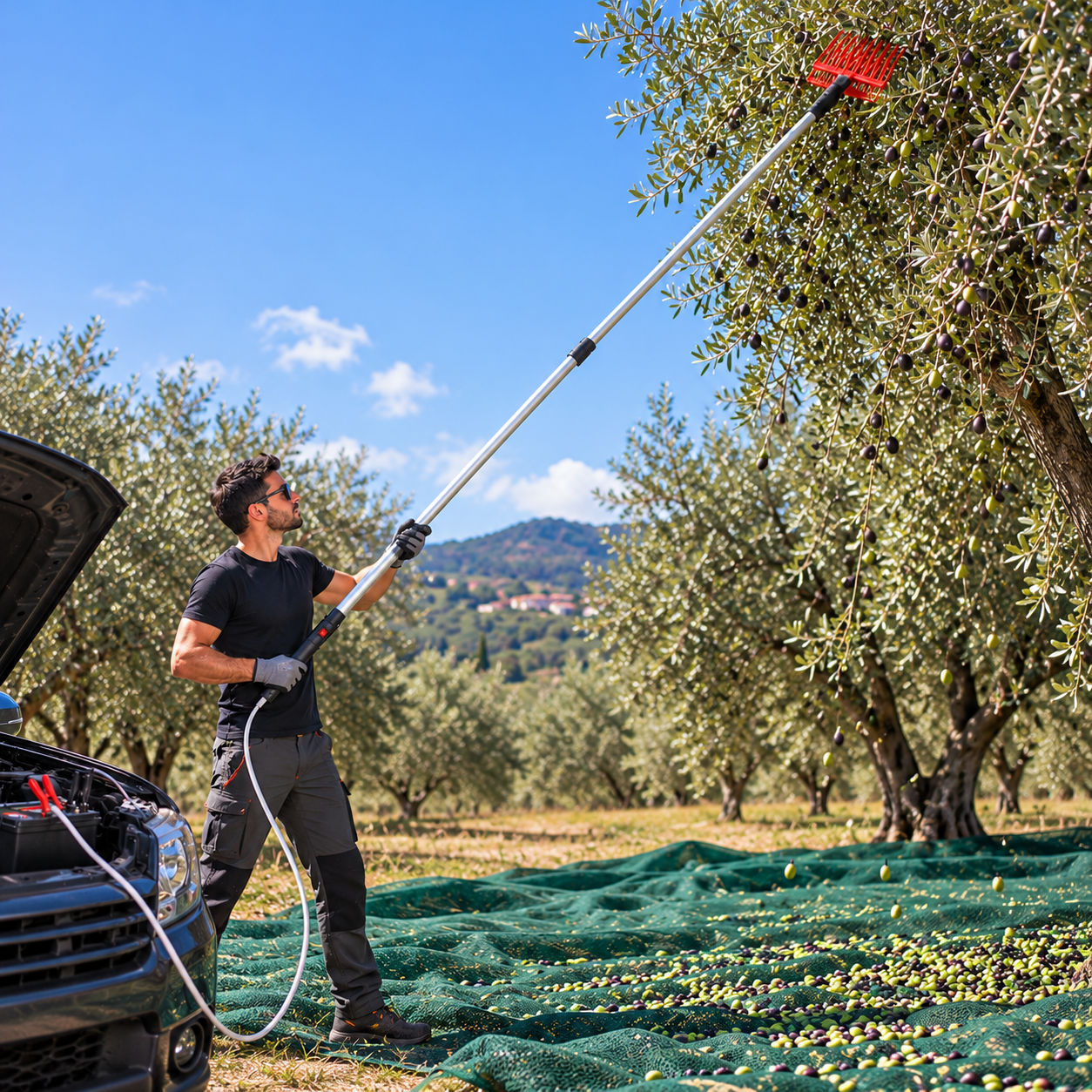abbacchiatore per olive telescopico fino a 3 metri con cavo 10 metri - foto 3 abbacchiatore per olive telescopico fino a 3 metri con cavo 10 metri - foto 3